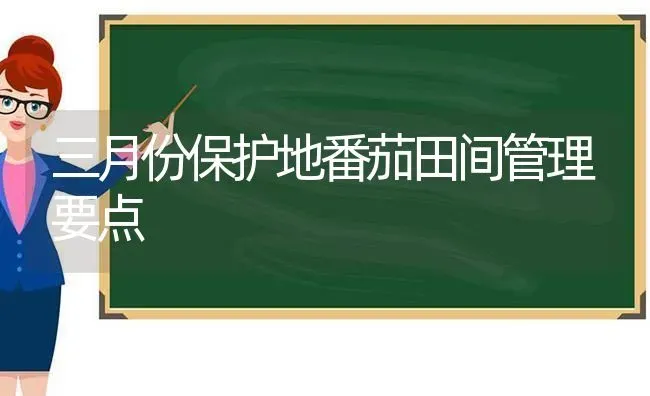 三月份保护地番茄田间管理要点 | 养殖技术大全