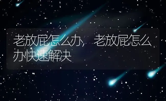 老放屁怎么办,老放屁怎么办快速解决 | 养殖科普