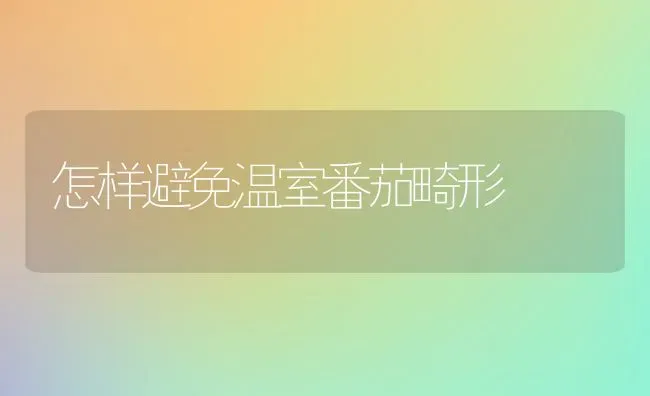 怎样避免温室番茄畸形 | 养殖技术大全