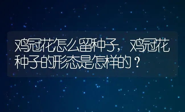 鸡冠花怎么留种子,鸡冠花种子的形态是怎样的？ | 养殖科普