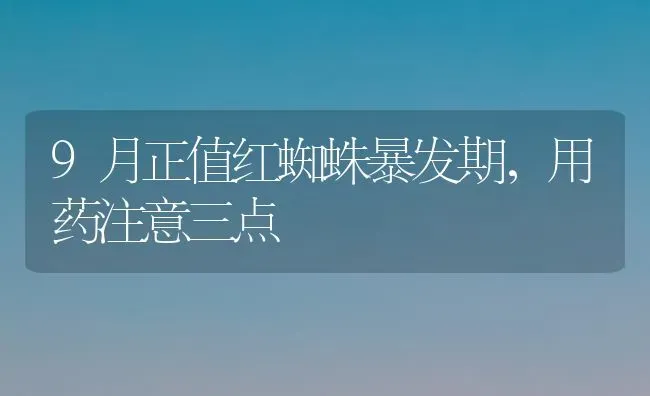9月正值红蜘蛛暴发期,用药注意三点 | 养殖技术大全