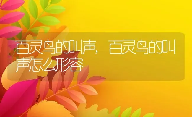 百灵鸟的叫声,百灵鸟的叫声怎么形容 | 养殖资料