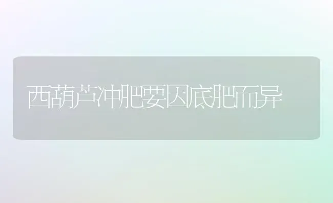 西葫芦冲肥要因底肥而异 | 养殖知识