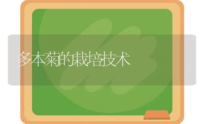 多本菊的栽培技术 | 养殖知识