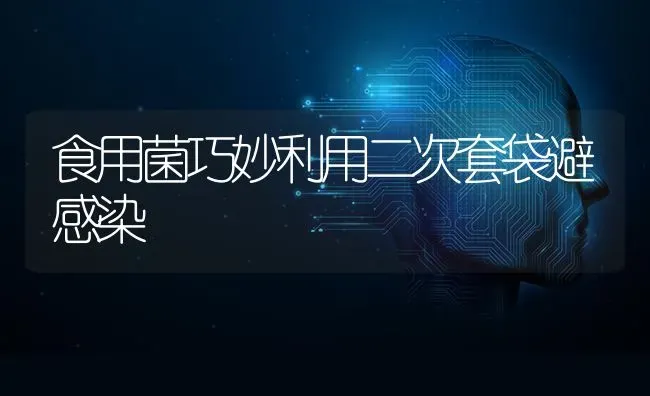 食用菌巧妙利用二次套袋避感染 | 养殖知识