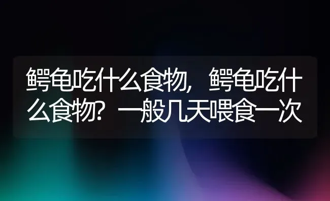 鳄龟吃什么食物,鳄龟吃什么食物?一般几天喂食一次 | 养殖科普