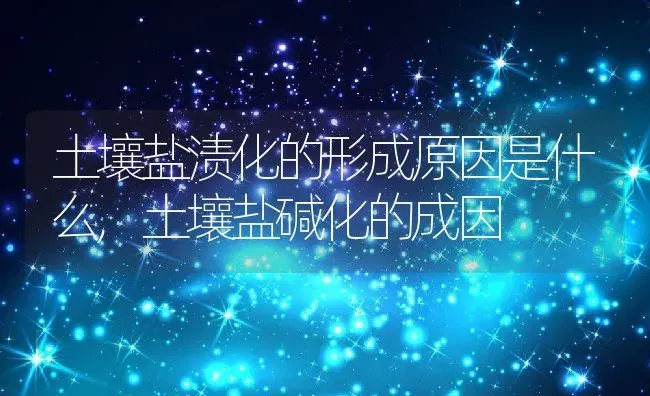 土壤盐渍化的形成原因是什么,土壤盐碱化的成因 | 养殖学堂