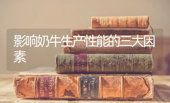 影响奶牛生产性能的三大因素 | 养殖技术大全