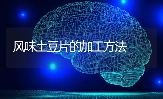 风味土豆片的加工方法 | 养殖技术大全