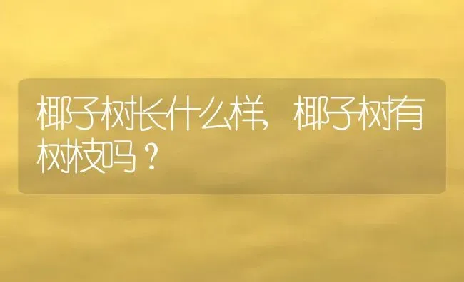 椰子树长什么样,椰子树有树枝吗？ | 养殖科普