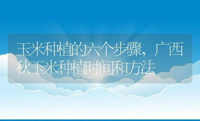 玉米种植的六个步骤,广西秋玉米种植时间和方法 | 养殖学堂