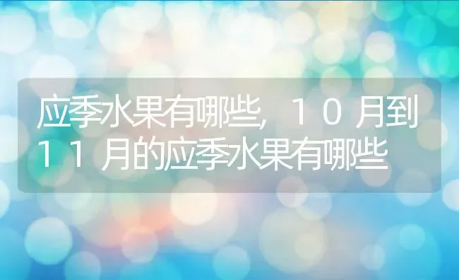 应季水果有哪些,10月到11月的应季水果有哪些 | 养殖学堂