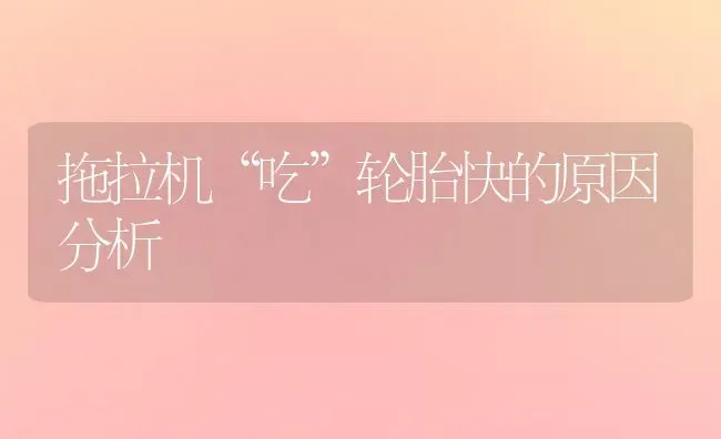 拖拉机“吃”轮胎快的原因分析 | 养殖知识