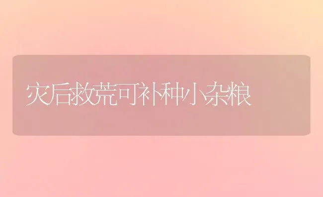 灾后救荒可补种小杂粮 | 养殖知识