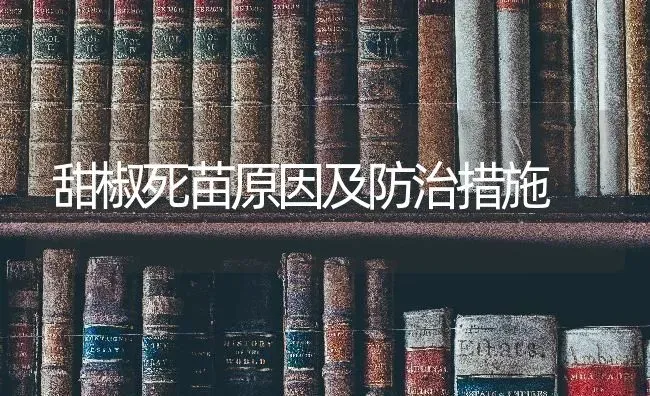 甜椒死苗原因及防治措施 | 养殖技术大全