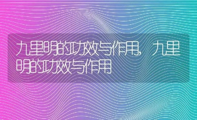 九里明的功效与作用,九里明的功效与作用 | 养殖科普