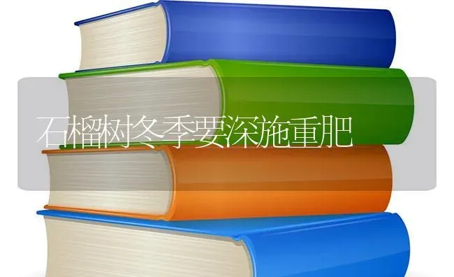 石榴树冬季要深施重肥 | 养殖技术大全