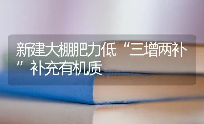 新建大棚肥力低“三增两补”补充有机质 | 养殖技术大全