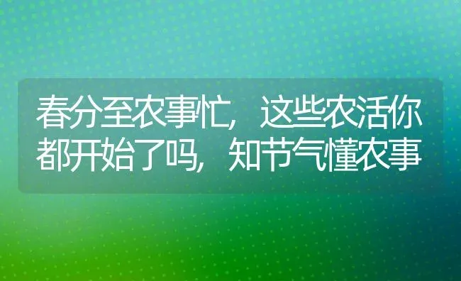 春分至农事忙,这些农活你都开始了吗,知节气懂农事 | 养殖学堂