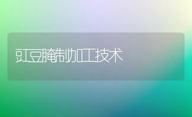 豇豆腌制加工技术 | 养殖知识