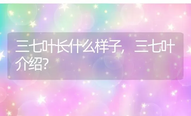 三七叶长什么样子,三七叶介绍？ | 养殖科普