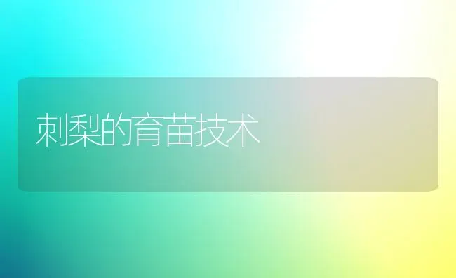 刺梨的育苗技术 | 养殖技术大全