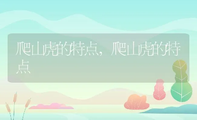 爬山虎的特点,爬山虎的特点 | 养殖科普