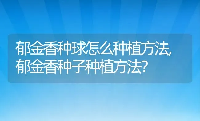 郁金香种球怎么种植方法,郁金香种子种植方法？ | 养殖科普