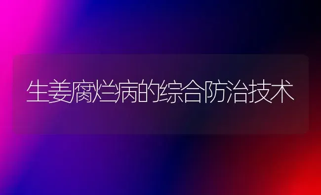 生姜腐烂病的综合防治技术 | 养殖知识