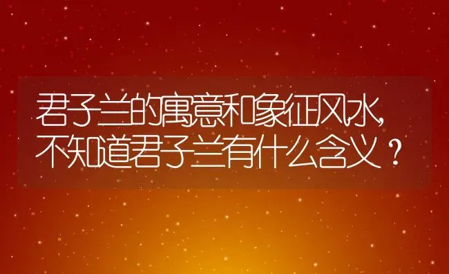 君子兰的寓意和象征风水,不知道君子兰有什么含义？ | 养殖学堂
