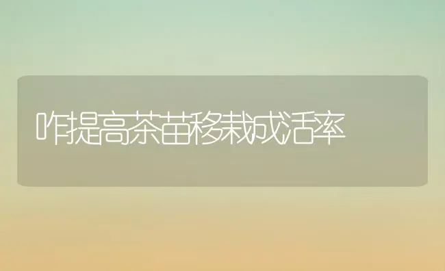 咋提高茶苗移栽成活率 | 养殖知识