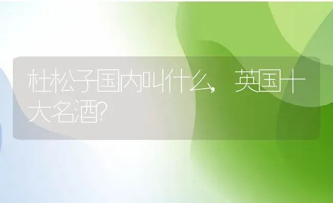 晚上吃火龙果好吗,火龙果夜晚灯光效果？ | 养殖科普