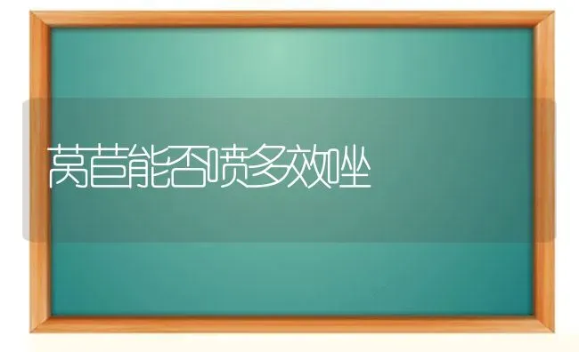 莴苣能否喷多效唑 | 养殖技术大全