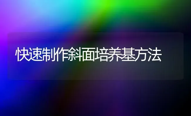 快速制作斜面培养基方法 | 养殖技术大全