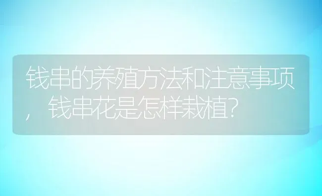 钱串的养殖方法和注意事项,钱串花是怎样栽植？ | 养殖科普