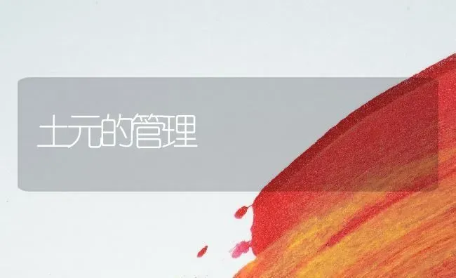 土元的管理 | 养殖技术大全