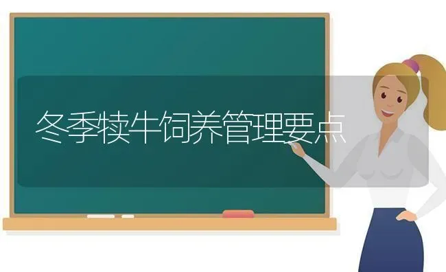 冬季犊牛饲养管理要点 | 养殖技术大全