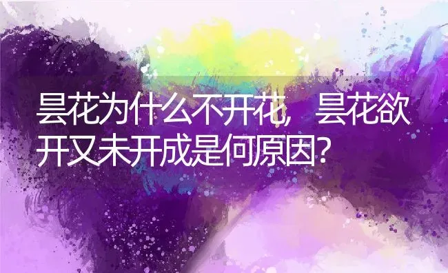 昙花为什么不开花,昙花欲开又未开成是何原因？ | 养殖学堂