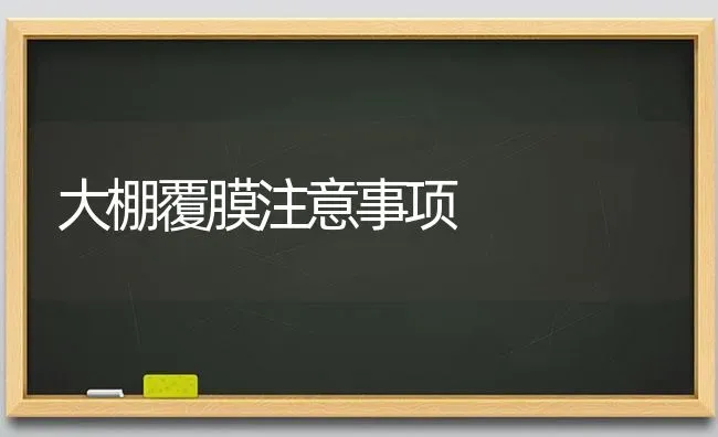 大棚覆膜注意事项 | 养殖技术大全