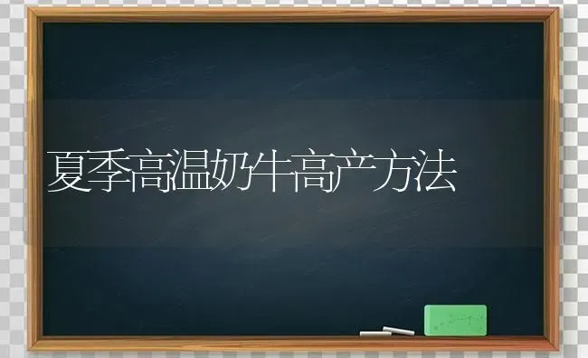 夏季高温奶牛高产方法 | 养殖技术大全