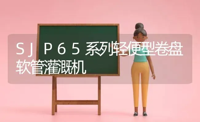 SJP65系列轻便型卷盘软管灌溉机 | 养殖技术大全