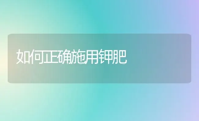 如何正确施用钾肥 | 养殖技术大全