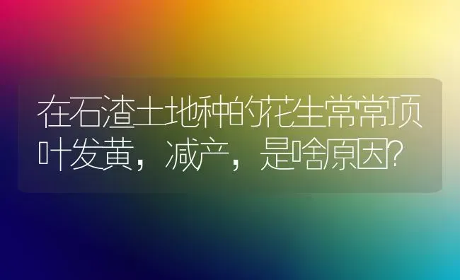 在石渣土地种的花生常常顶叶发黄,减产,是啥原因? | 养殖知识