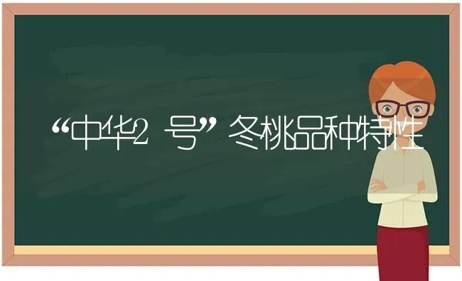 “中华2号”冬桃品种特性 | 养殖知识