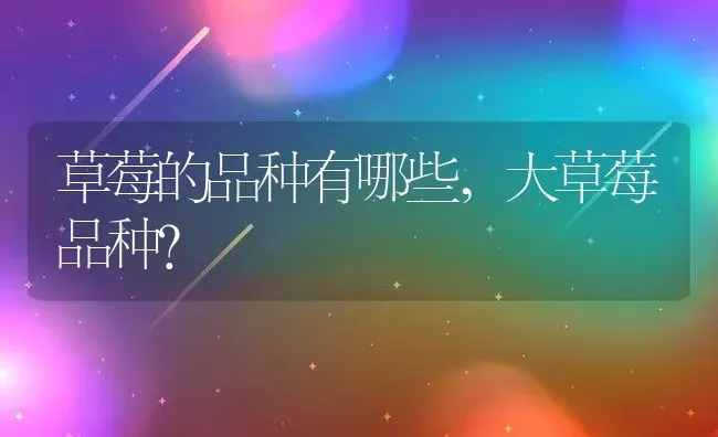 草莓的品种有哪些,大草莓品种？ | 养殖科普