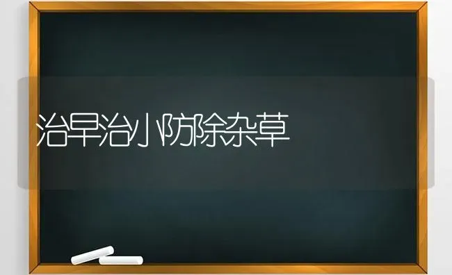 治早治小防除杂草 | 养殖技术大全