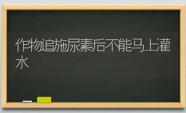 作物追施尿素后不能马上灌水 | 养殖技术大全