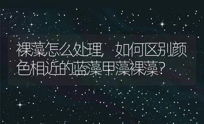 裸藻怎么处理,如何区别颜色相近的蓝藻甲藻裸藻？ | 养殖科普