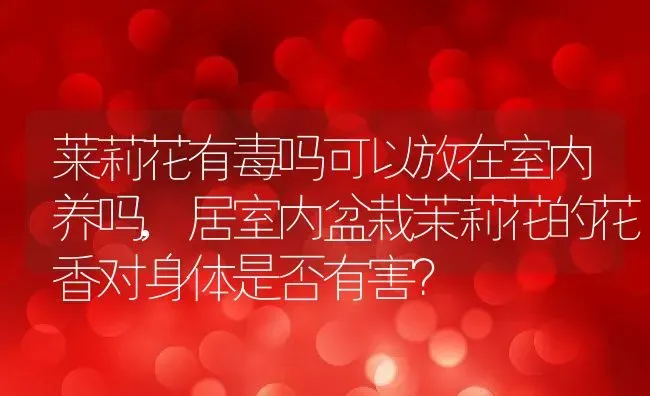 莱莉花有毒吗可以放在室内养吗,居室内盆栽茉莉花的花香对身体是否有害？ | 养殖学堂