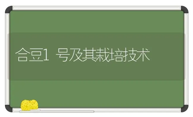 合豆1号及其栽培技术 | 养殖技术大全